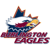 Burlington City Rep Hockey Club