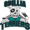Orillia Minor Hockey