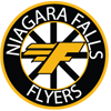 Niagara Falls Minor Hockey