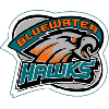 Bluewater Hawks Girls Hockey