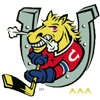 Barrie Junior Colts